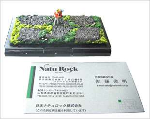 携帯用ナチュロック 楽しみ方